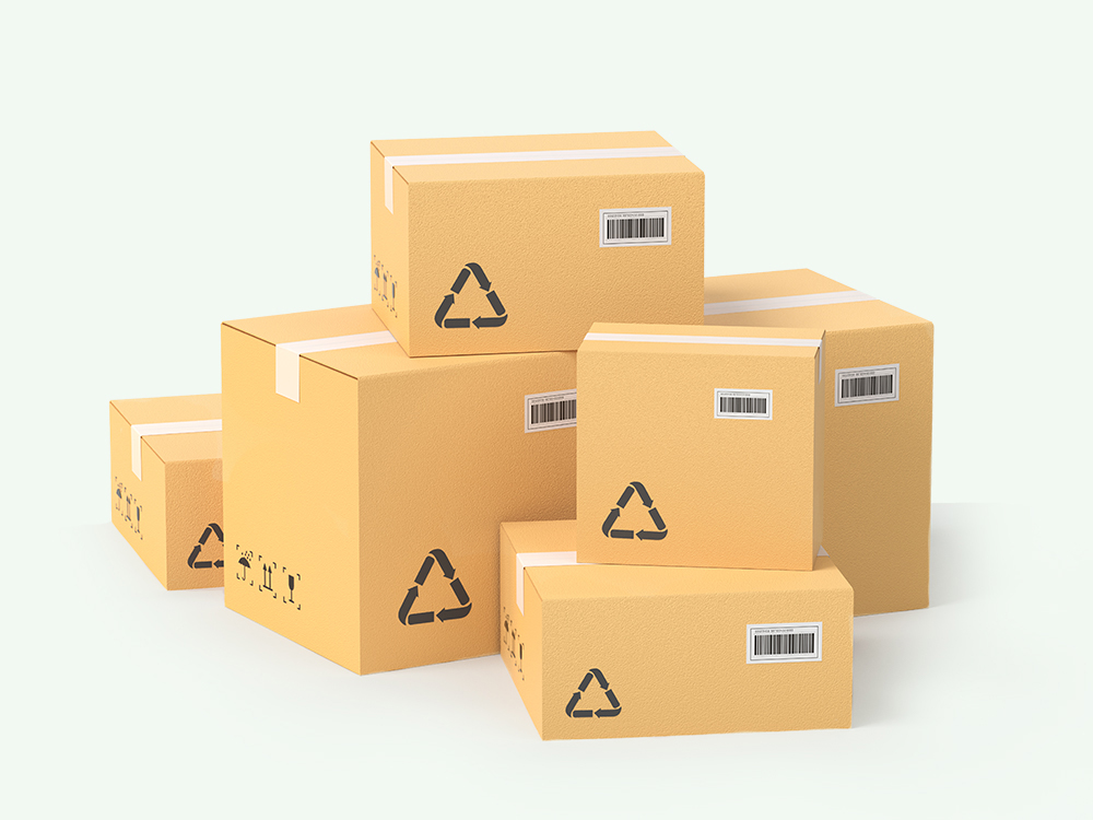 TVT体育帮助供应商提升能力水平